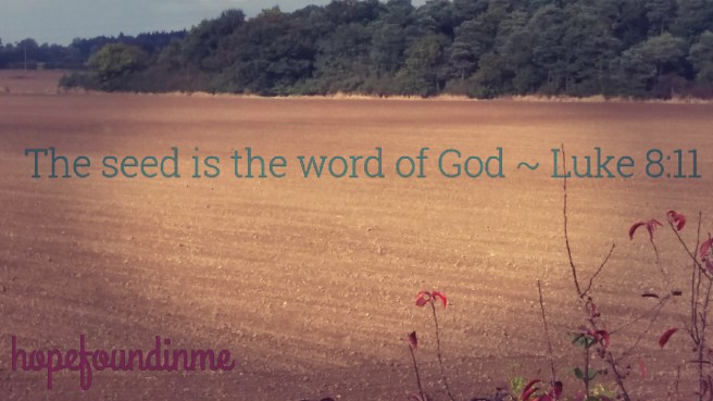 picture_20161012_235425712