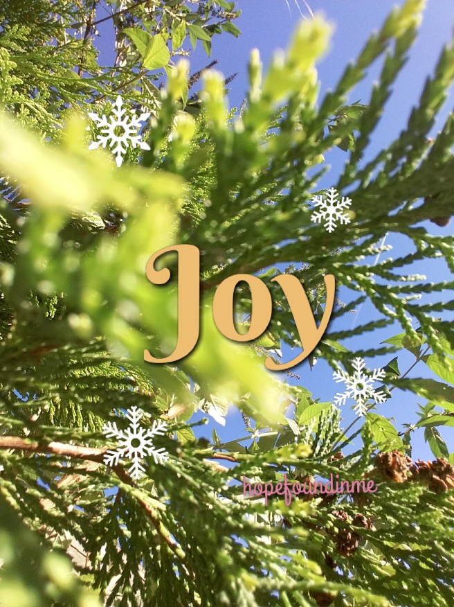 picture_20161203_122539662