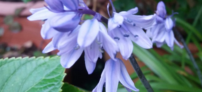 The challenge that is change.