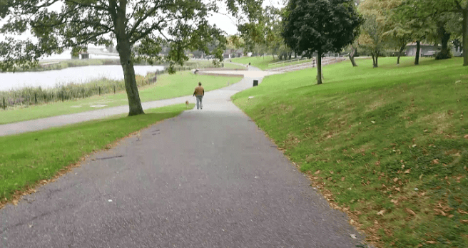 Screenshot_2017-09-26-17-41-06-1