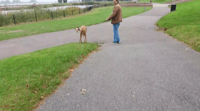 Screenshot_2017-09-27-19-54-36-1