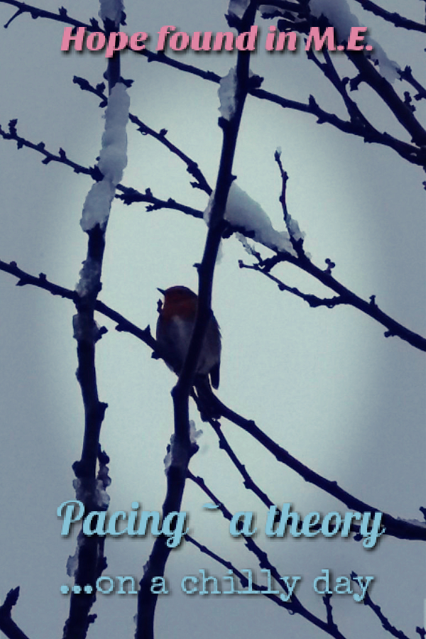 Picture_20171212_171804206