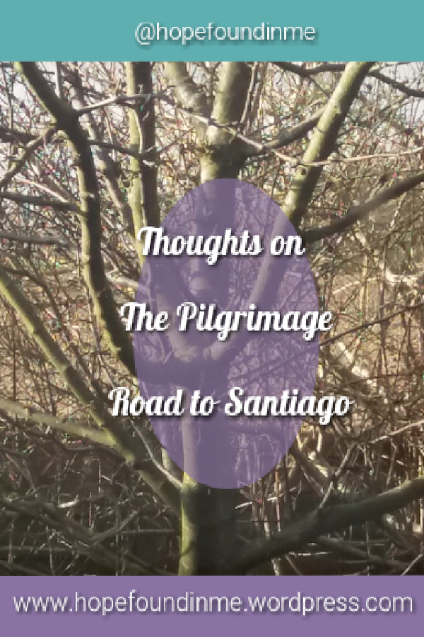 https://hopefoundinme.wordpress.com/2018/03/31/my-thoughts-on-pilgrimage-the-road-to-santiago/