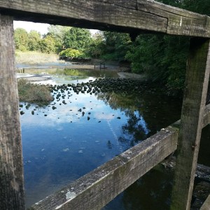 Picture_20190927_090937301