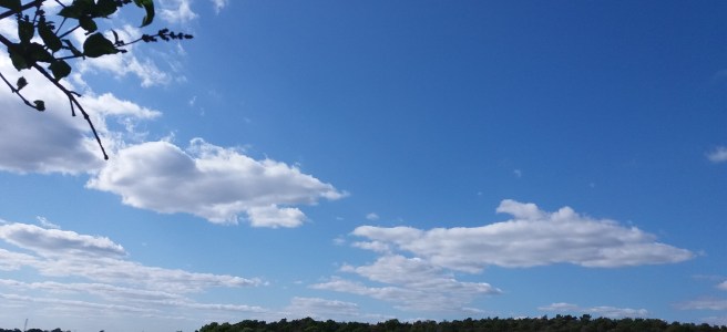 A view of fields and woodland. Happy Sunday - Hope found in M.E.