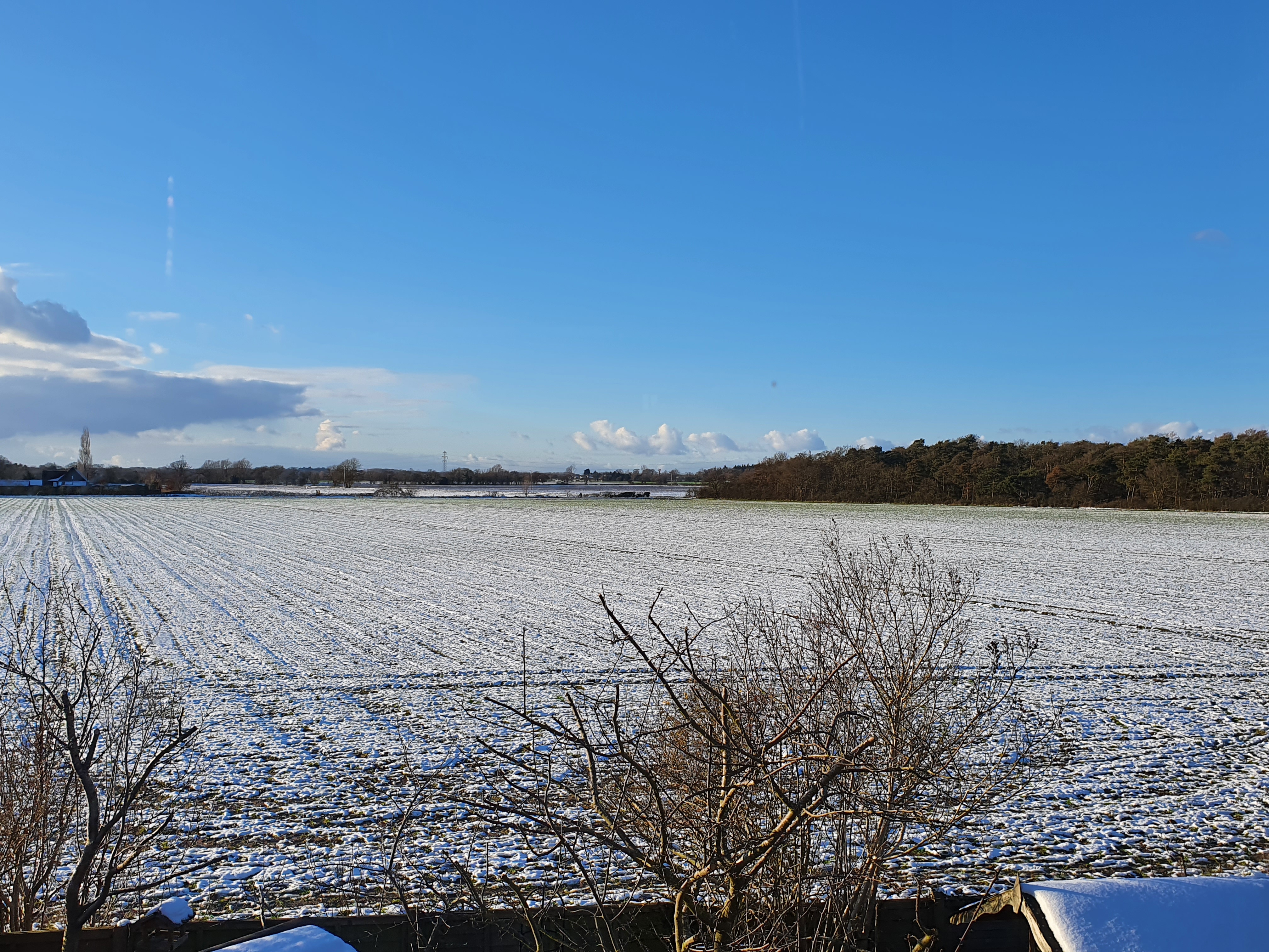A snowy horizon with bright blue sky