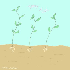 Seedlings doodle