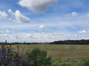 Field view, Blue sky with clouds