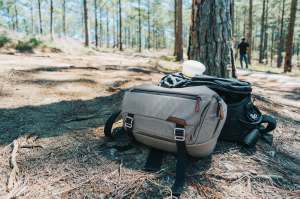 Luggage Under A Tree