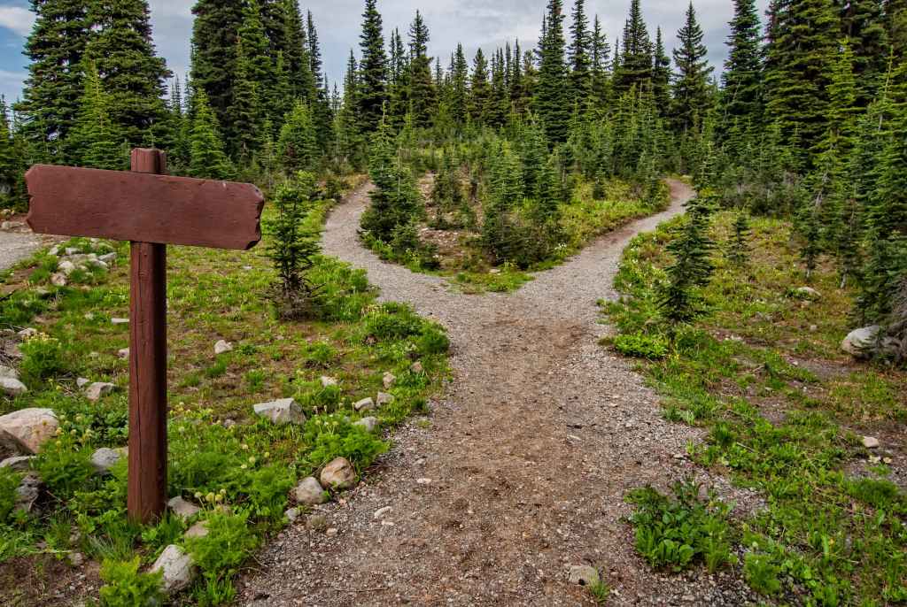 Wooden Signpost At Split In Gravel And Greenery Pathway