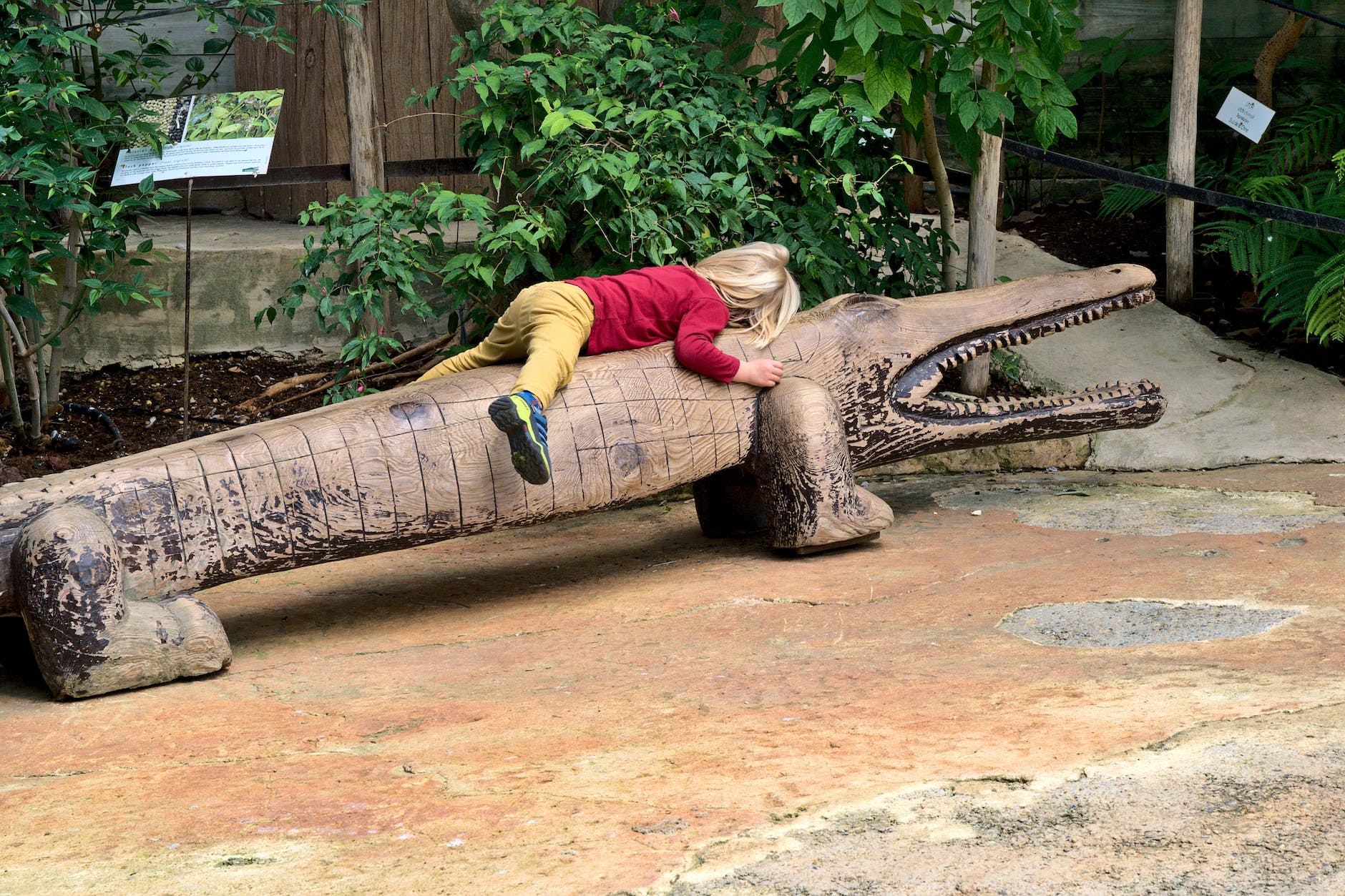 Child Lying Face Down On A Wooden Crocodile