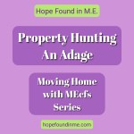 Property Hunting - Moving Home With MEcfs  Series