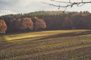 A Ploughed Field
