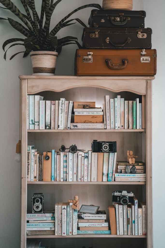 Books On A Distressed Wood Bookcase 