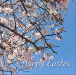 Pink Cherry Blossom against a blue sky with the words Happy Easter