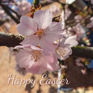 Pink Cherry Blossom with the words Happy Easter