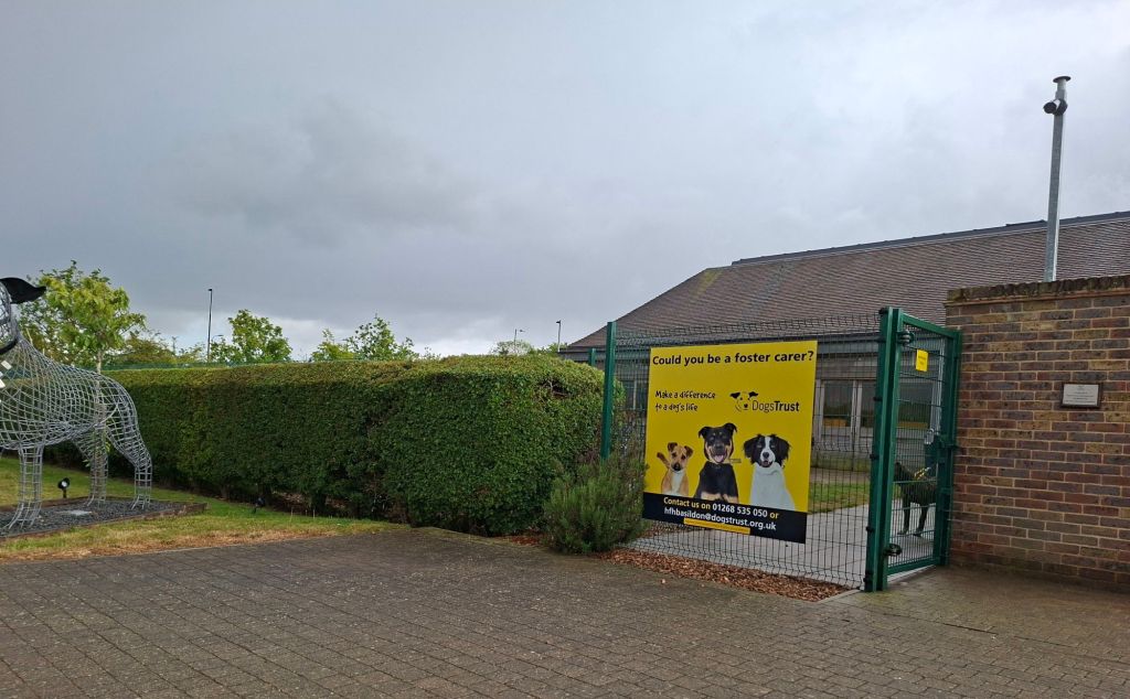 Dogs Trust