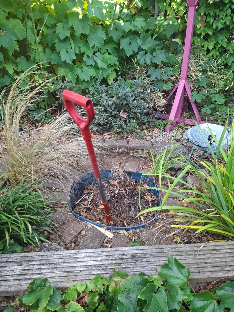 A red garden spade 