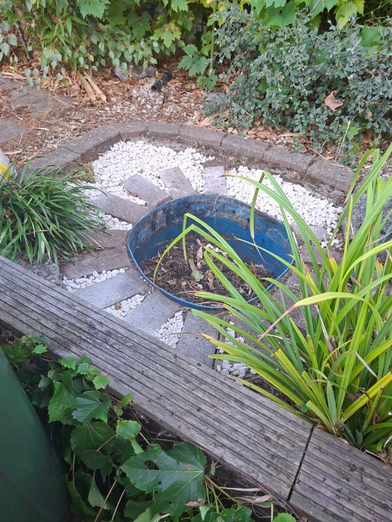 Ornamental small circular pond