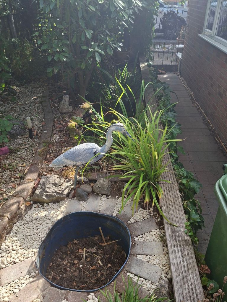 Model heron among stones a greenery